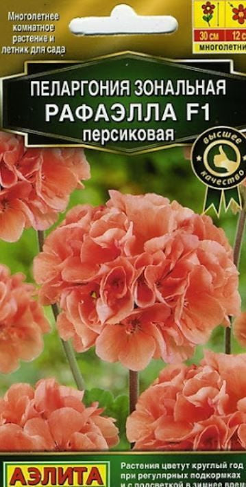 Пеларгония Рафаэлла F1 персиковая