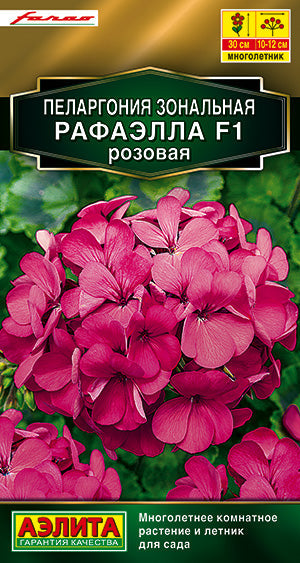 Пеларгония Рафаэлла F1 розовая