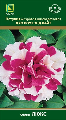 Петуния махровая многоцветковая Дуо Роуз энд Вайт