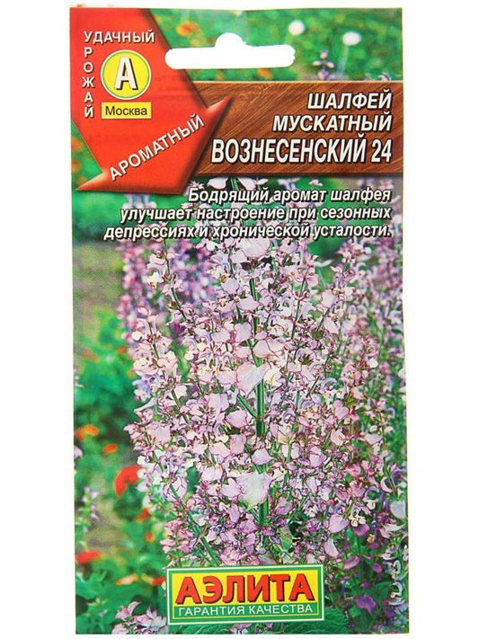 Шалфей мускатный Вознесенский 24
