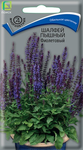 Шалфей пышный Фиолетовый