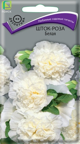 Шток-роза Белая