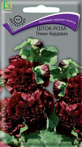 Шток-роза Темно-бордовая