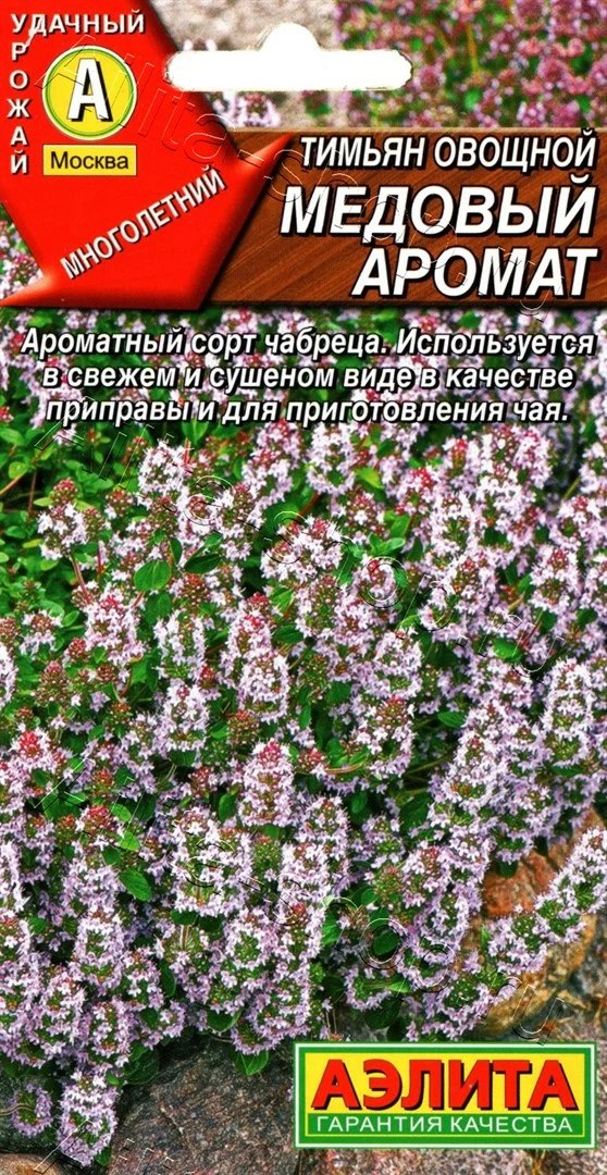 Тимьян овощной Медовый аромат