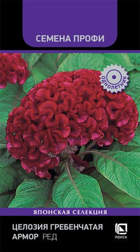 Целозия гребенчатая Армор Ред