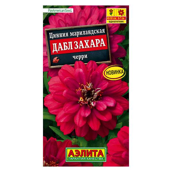 Цинния Дабл Захара черри