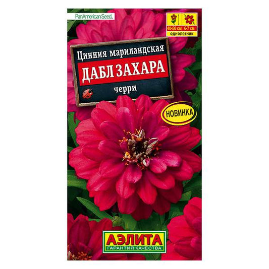 Цинния Дабл Захара черри
