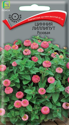 Цинния лиллипут Розовая