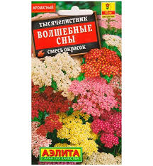 Тысячелистник Волшебные сны смесь окрасок