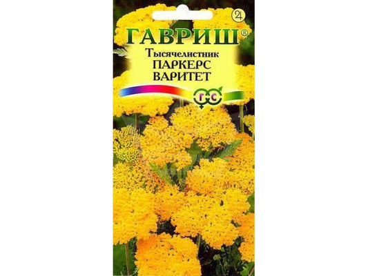 Тысячелистник таволговый Паркерс Варитет