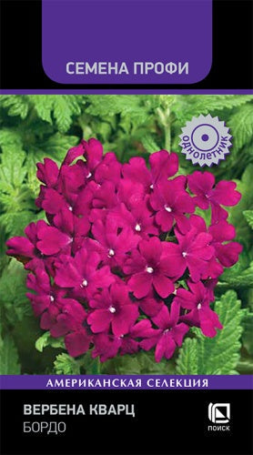Вербена Кварц Бордо