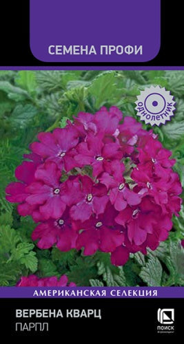 Вербена Кварц Парпл