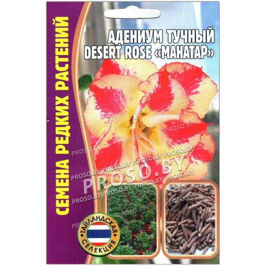 Адениум тучный desert rose манатар