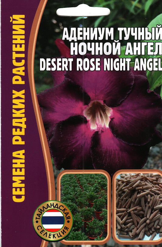 Адениум тучный ночной ангел desert rose night angel