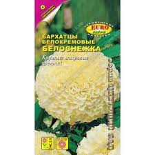 Бархатцы (тагетес) прямостоячие белоснежка