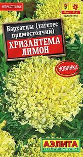 Бархатцы (тагетес прямостоячий) хризантема лимон