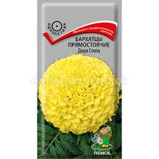 Бархатцы прямостоячие дядя степа