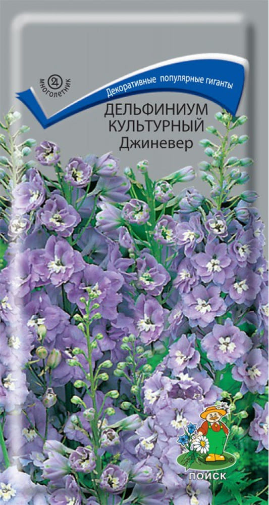 Дельфиниум культурный джиневер
