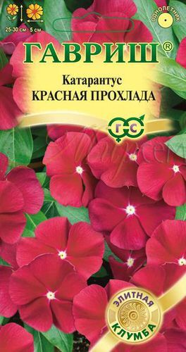 Катарантус красная прохлада