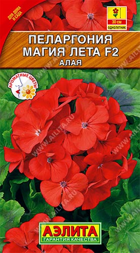 Пеларгония зональная магия лета F2 алая