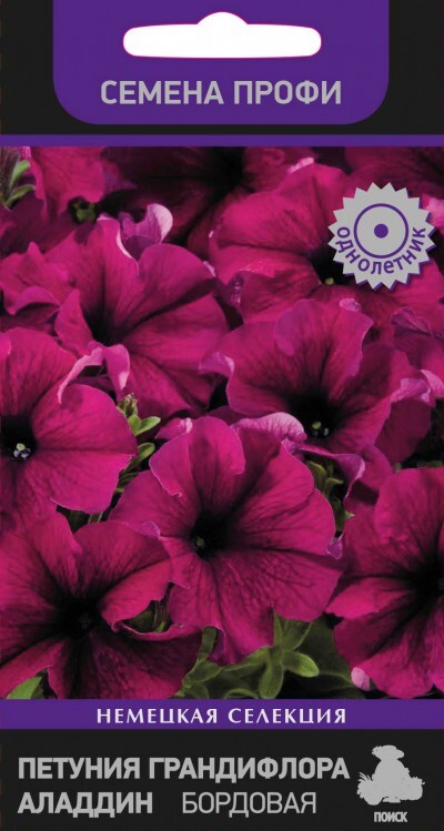 Петуния грандифлора аладдин бордовая