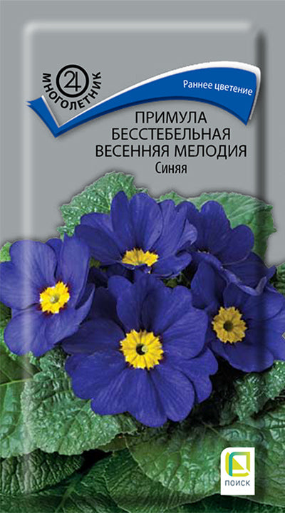 Примула бесстебельная весенняя мелодия синяя