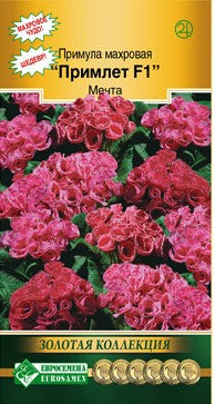 Примула махровая примлет F1 мечта