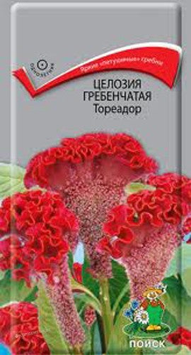 Целозия гребенчатая тореадор