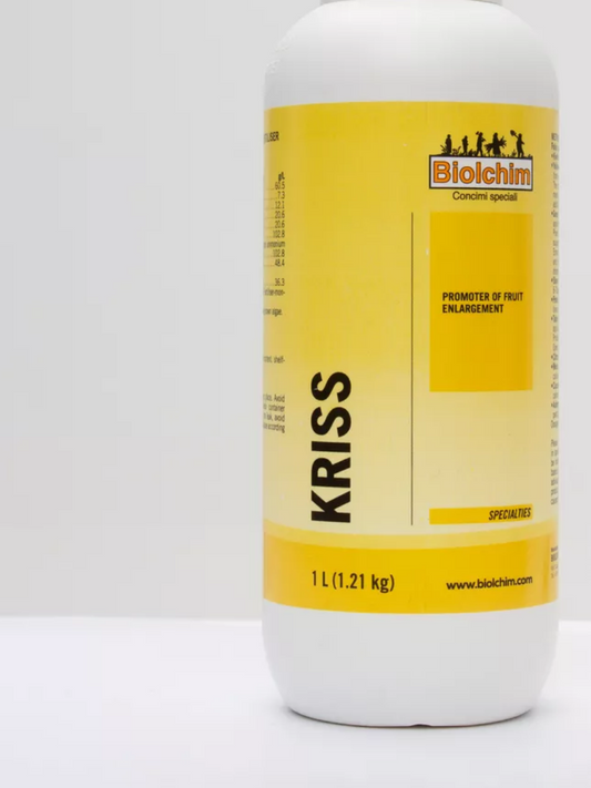 КРИСС (KRISS)