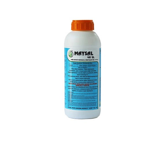 Maysal/Майсал