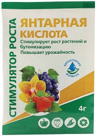 Янтарная кислота