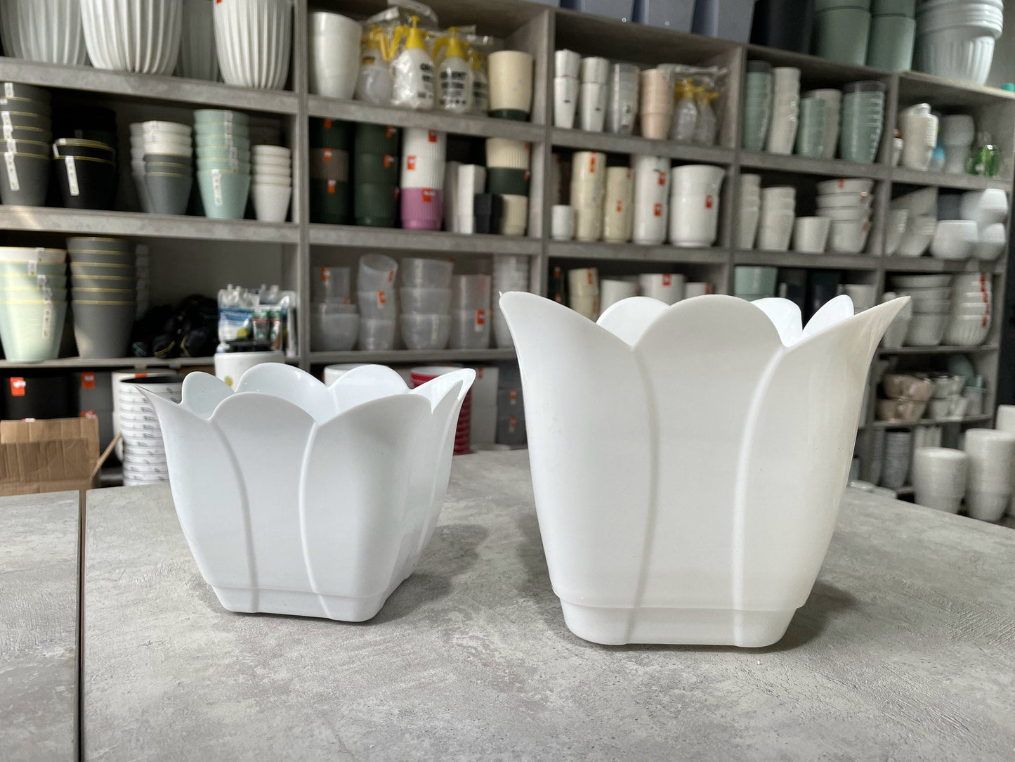 Горшок Ташкент | Тюльпан