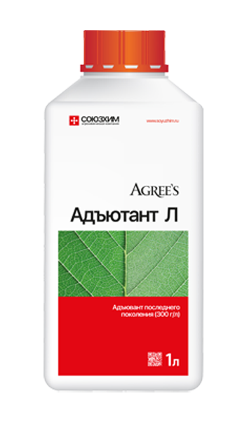 Адъютант