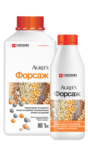 Форсаж