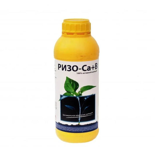 Ризо Ca+B