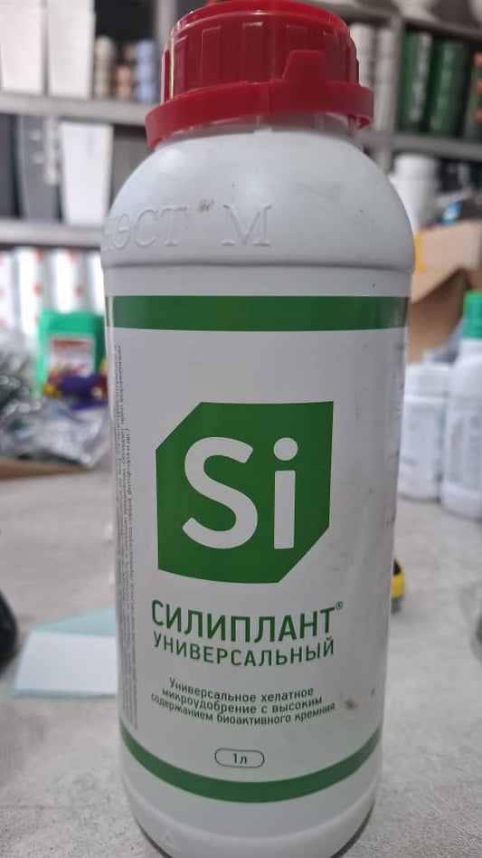 Силиплант
