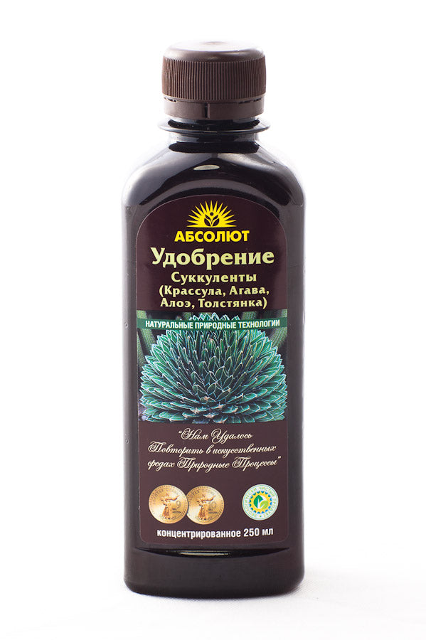 Суккуленты Биоабсолют