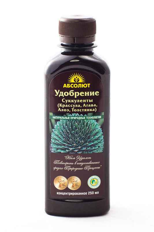 Суккуленты Биоабсолют