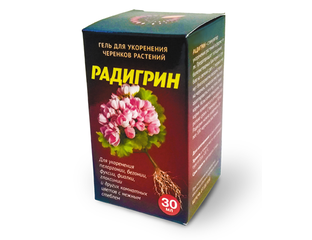 Радигрин для комнатных с нежным стеблем